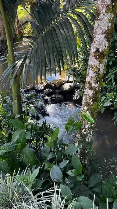 Chale De Madeira Com Vista Para O Rio 포메로데